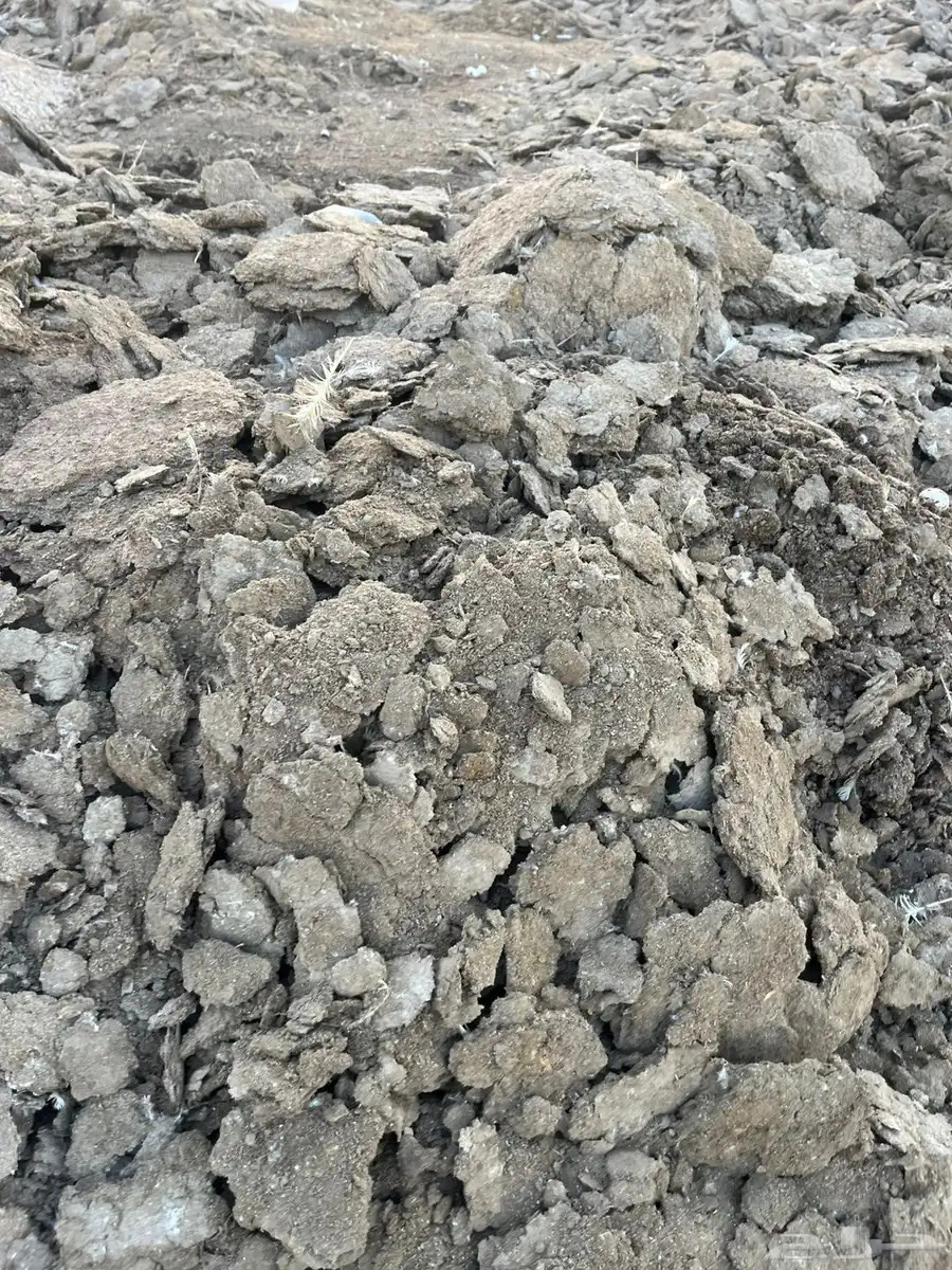 سماد دواجن مجانا بدون مقابل