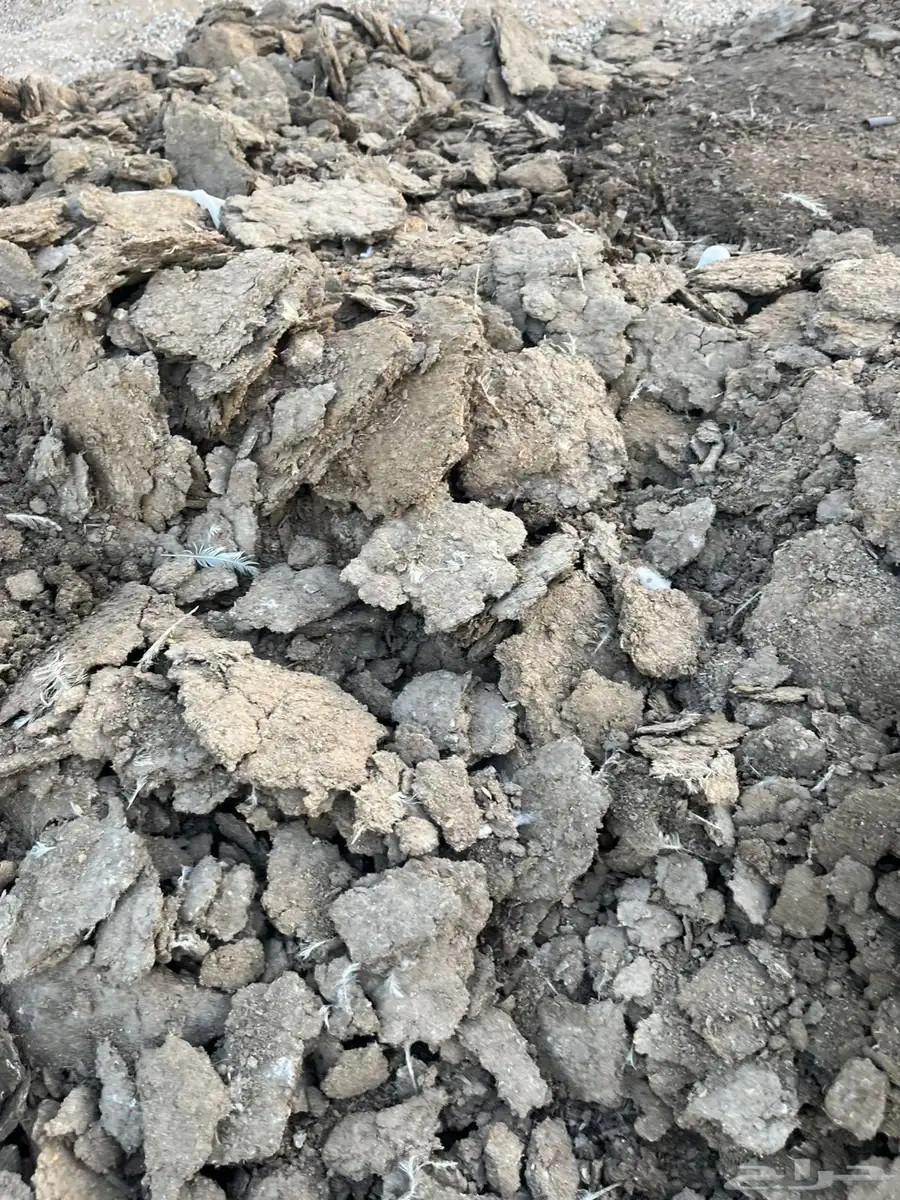 سماد دواجن مجانا بدون مقابل